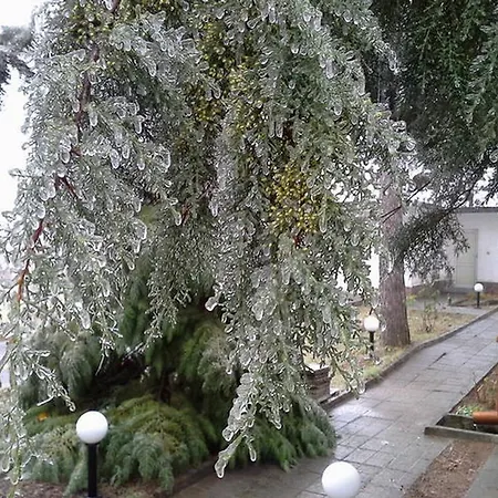 Villa Nature